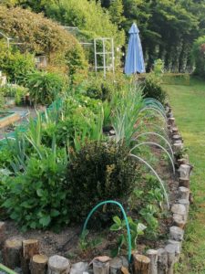 en promenade dans le jardin